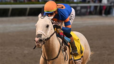 race results gulfstream park|Horse Racing Entries, Results, and Stakes Schedules.
